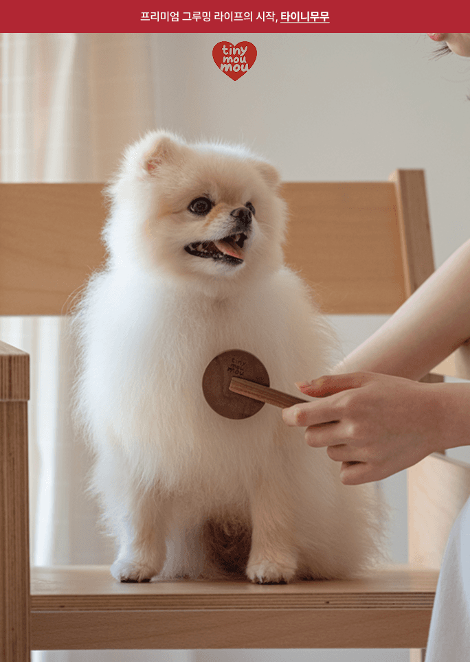 펫